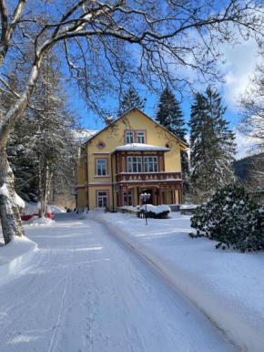 Villa Belvedere, Janské Lázně
